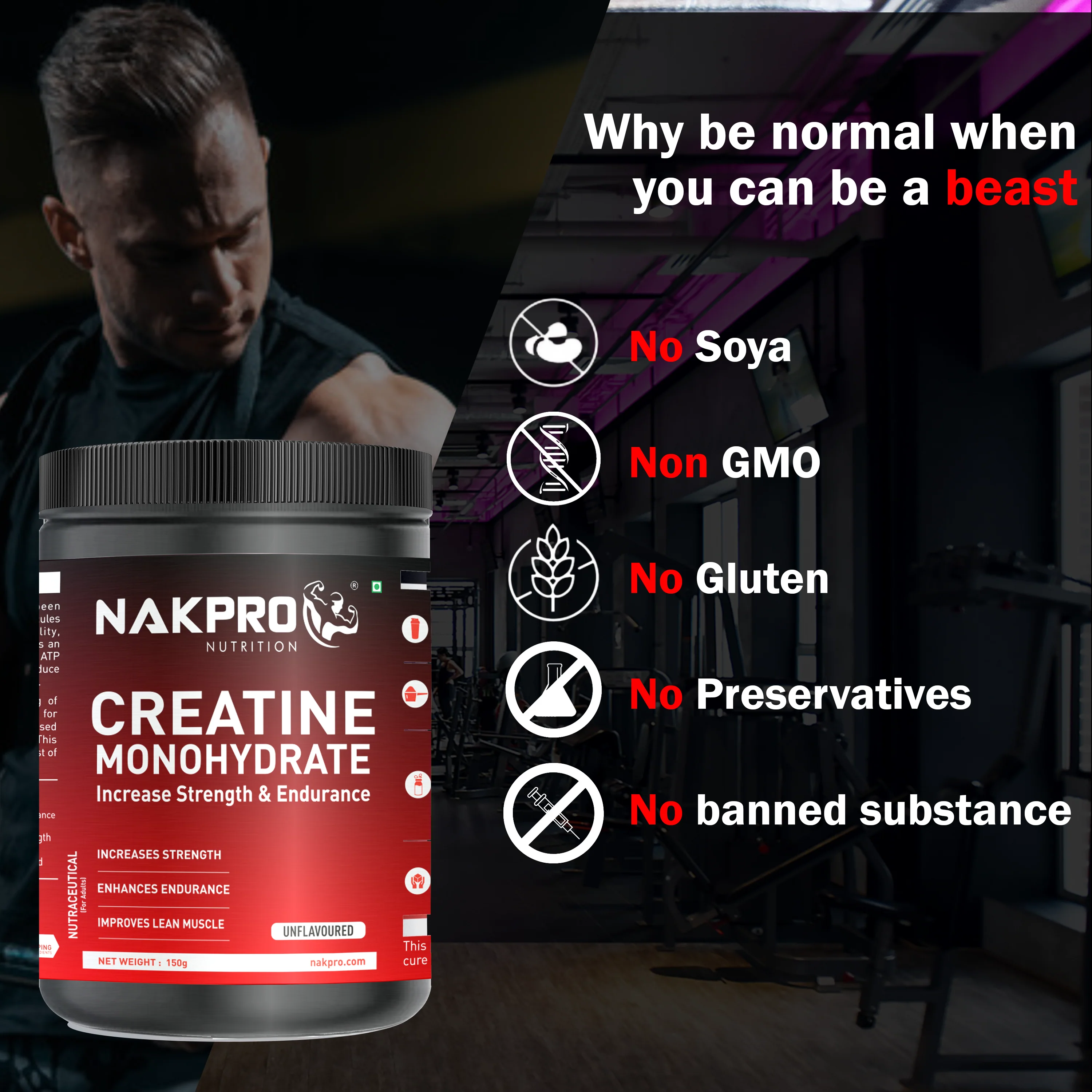 Micronized Creatine Monohydrate - Image 107