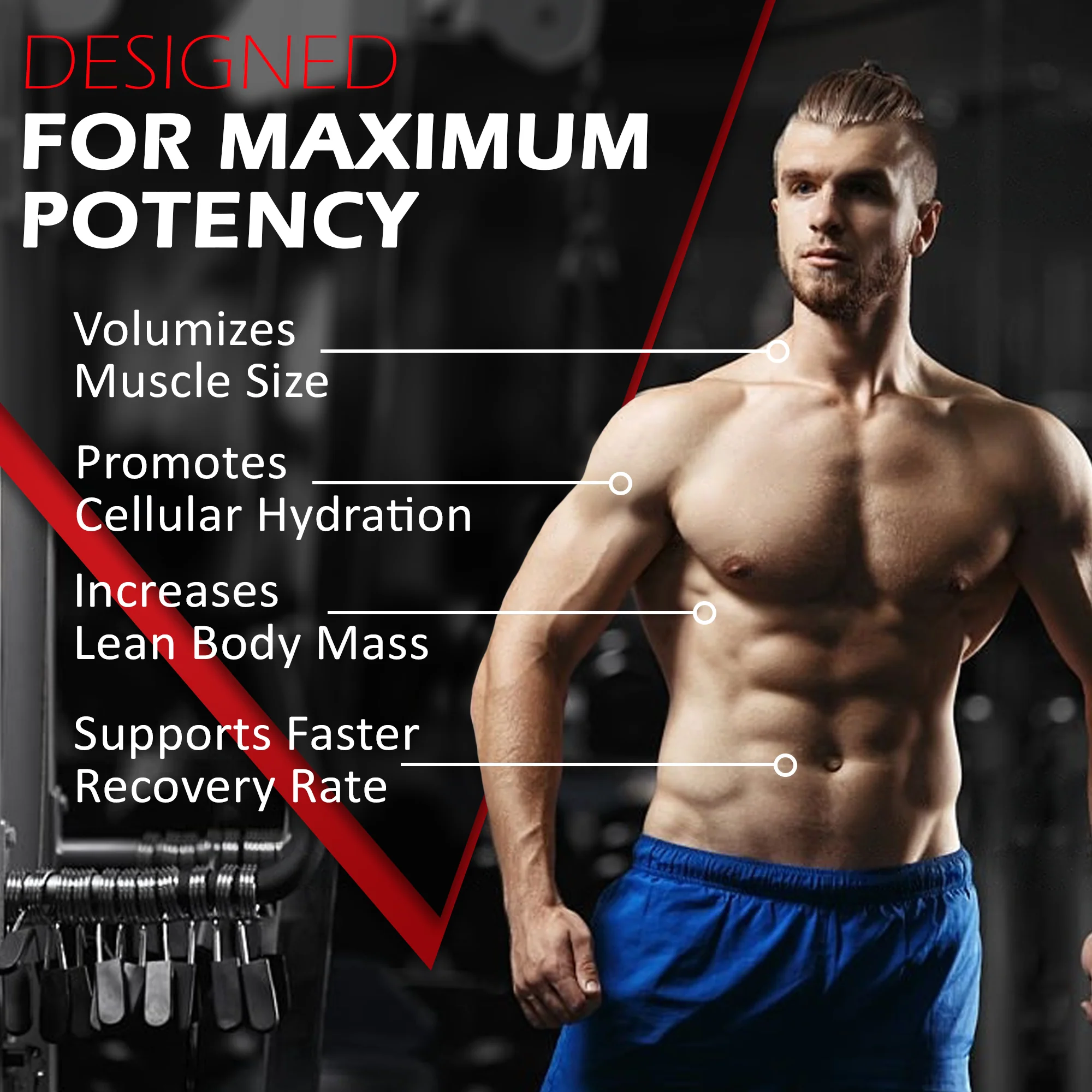 Micronized Creatine Monohydrate - Image 34