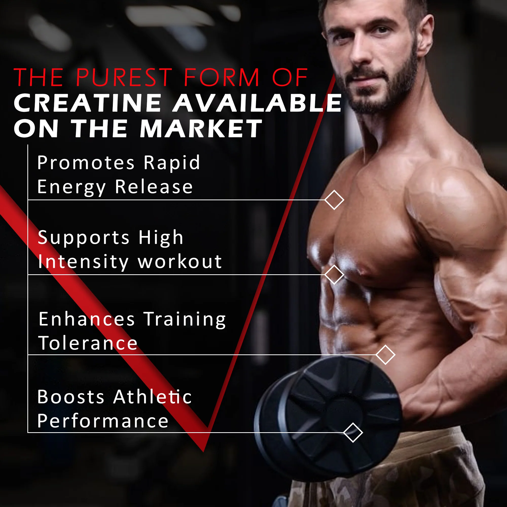 Micronized Creatine Monohydrate - Image 39
