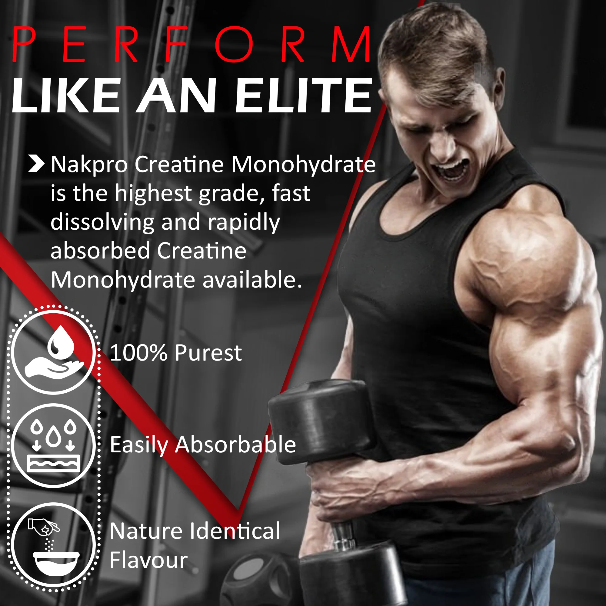 Micronized Creatine Monohydrate - Image 41