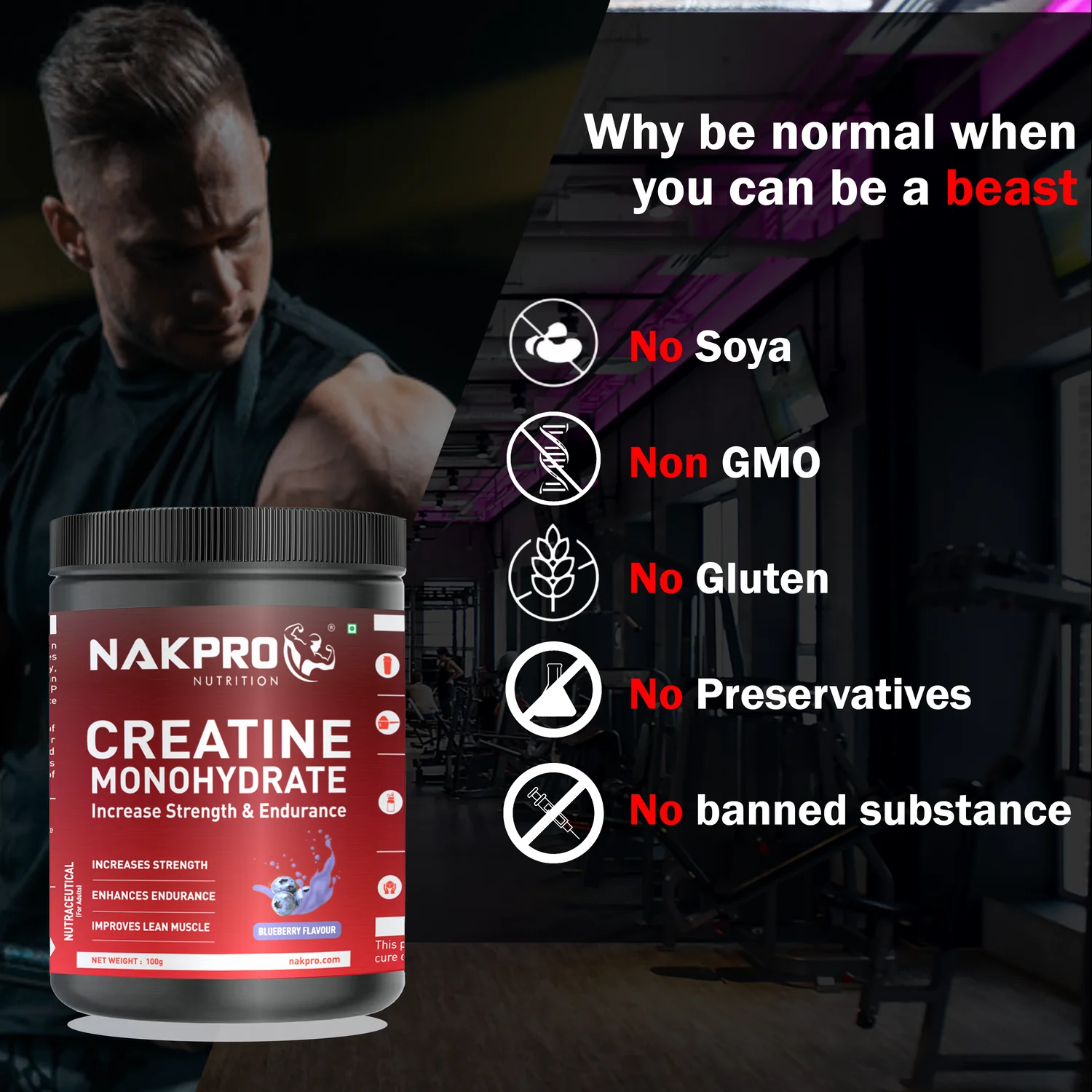 Micronized Creatine Monohydrate - Image 53