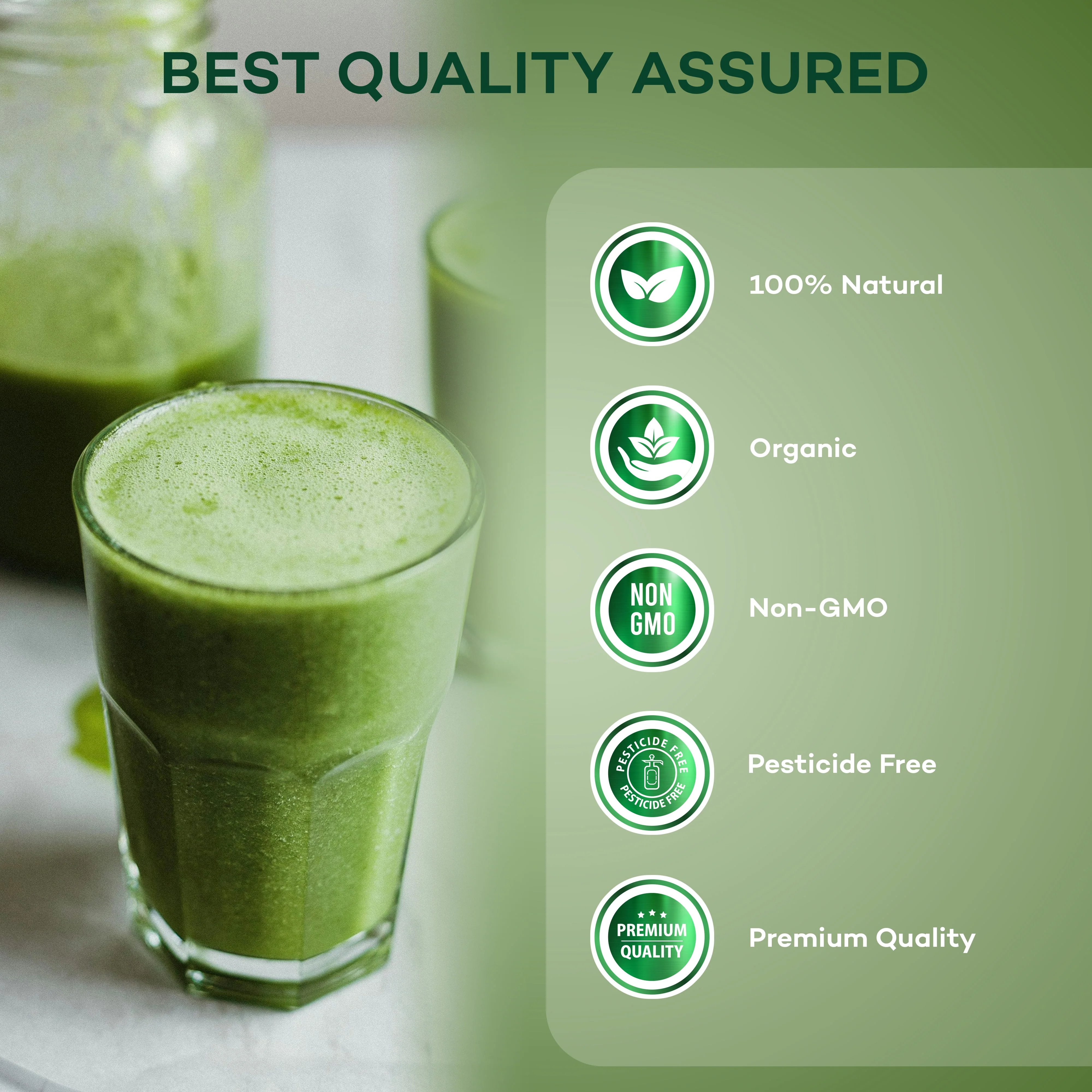 Organic Moringa Leaf Powder - Image 4