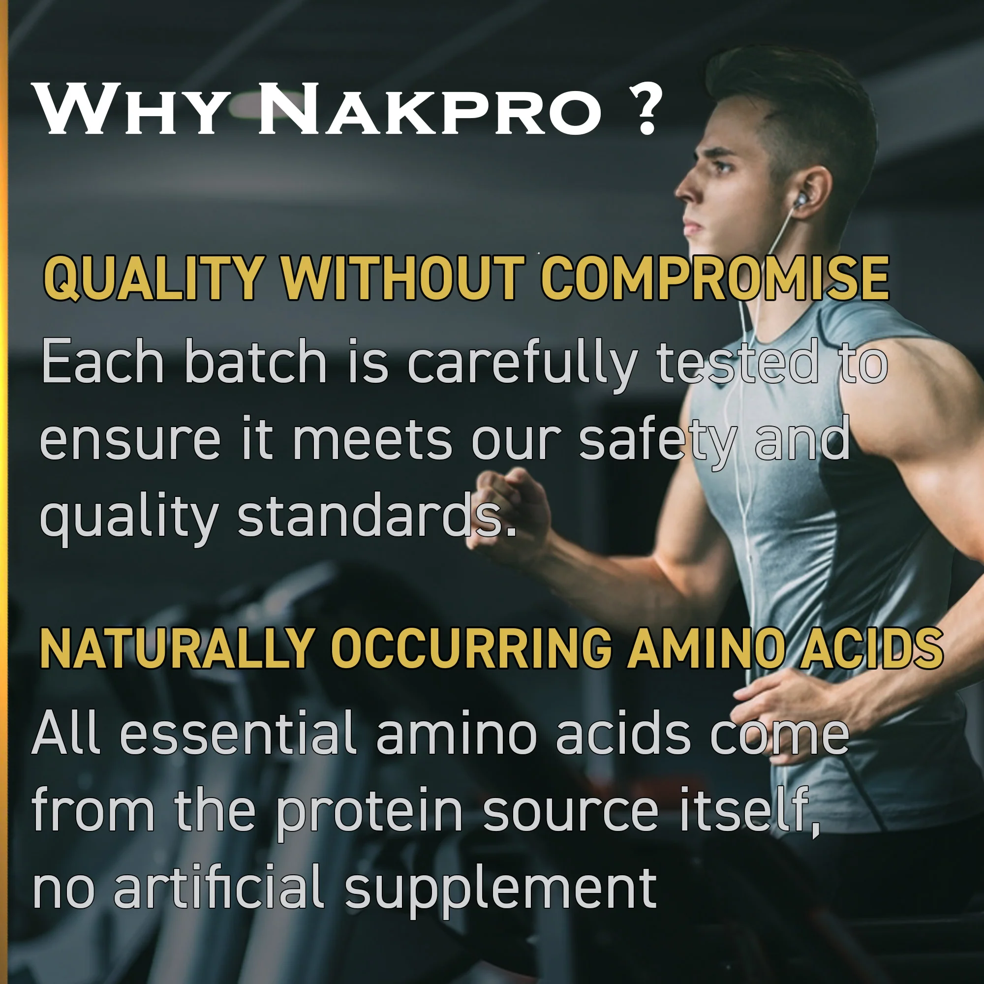 Whey Gold Whey Protein Blend - Image 96